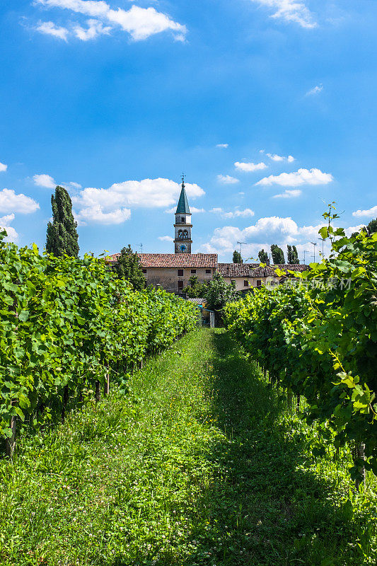 San Pietro di Felletto，普罗塞克葡萄园